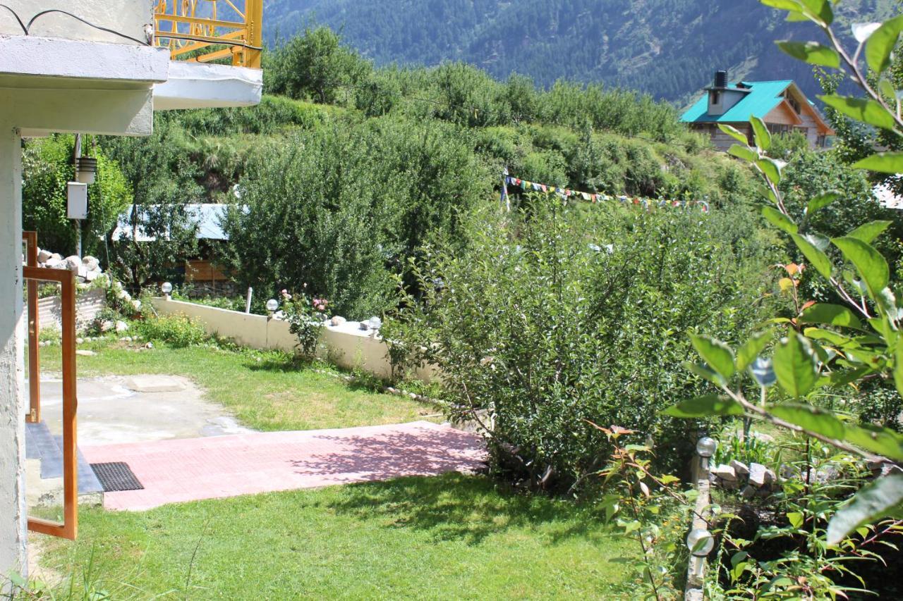 Manalsu Green - Manali (Himachal Pradesh) — Photos 2
